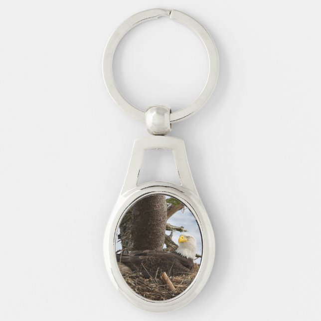 Llavero Nesting Bald Eagle (Anverso)
