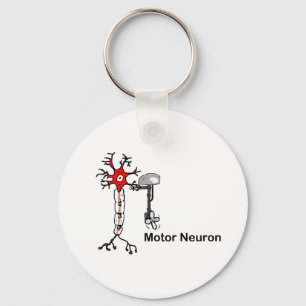 Llavero Neurona motora