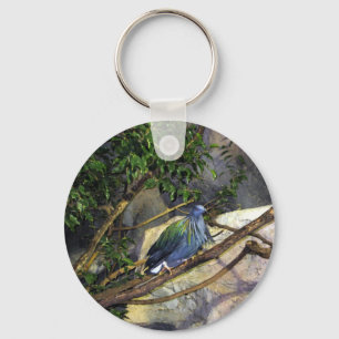 Llavero Nicobar Pigeon