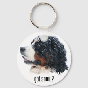 Llavero ¿nieve conseguida? Perro de montaña de Bernese