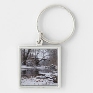 Llavero Nieve En Finley