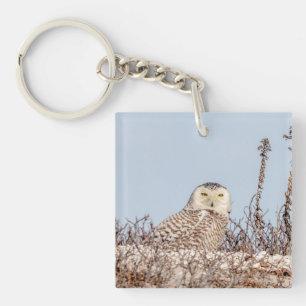 Llavero Nieves en la playa