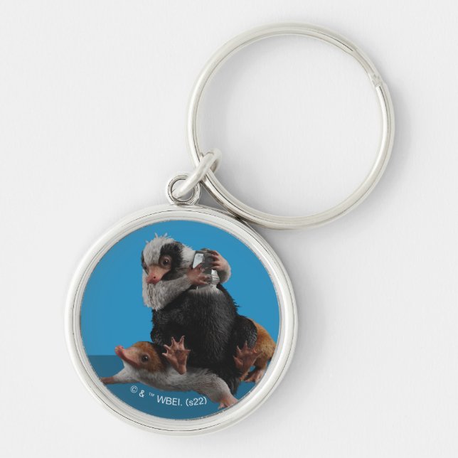 Llavero Nifflers Bebés Encuentran Un Premio (Frente)