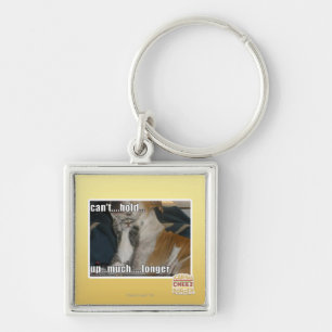 Llavero No puede soportar mucho más de largo