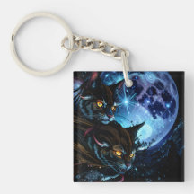 Noche de gato