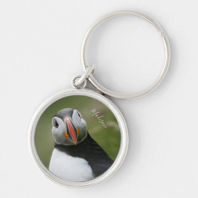 Llavero Nombre personalizado Cadenas de claves Puffin (Frente)