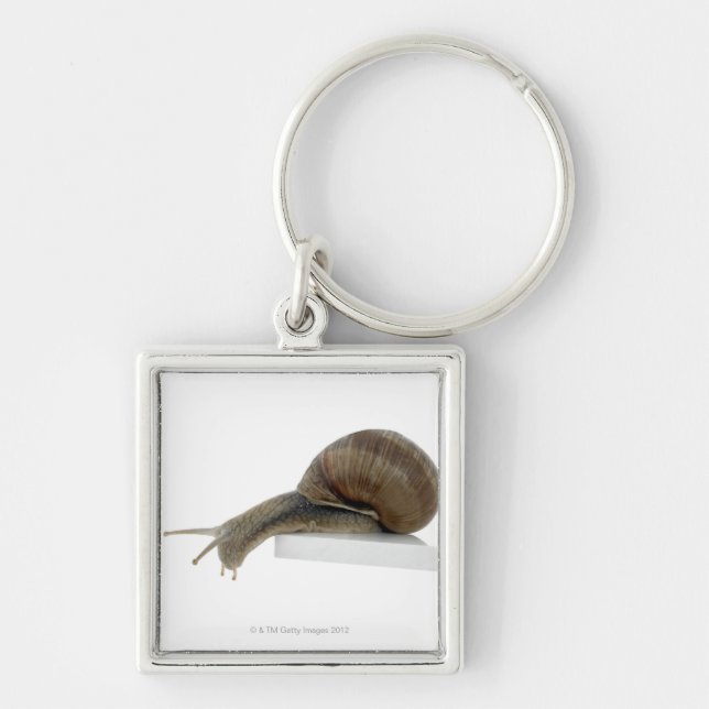 Llavero Normalsnail (Frente)