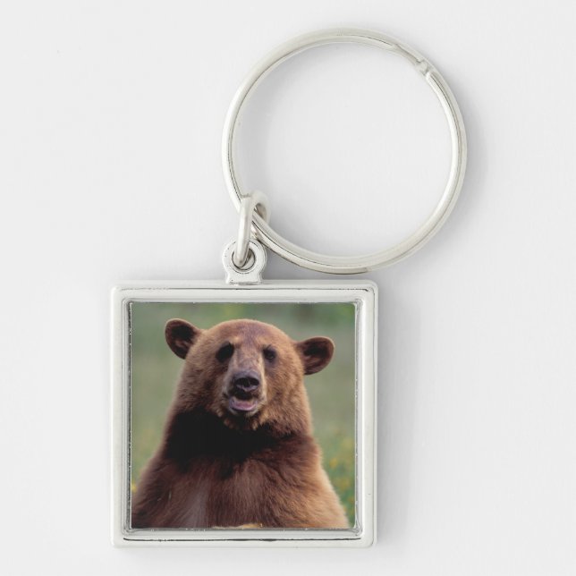 Llavero Norteamérica, California, oso negro de canela (Frente)