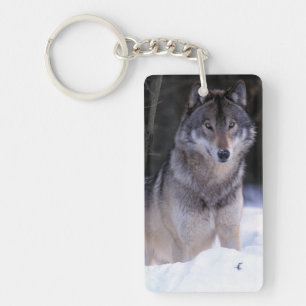 Llavero Norteamérica, Canadá, Canadá Oriental, Lobo gris