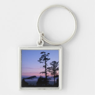 Llavero Norteamérica, Canadá, Isla de Vancouver, árboles