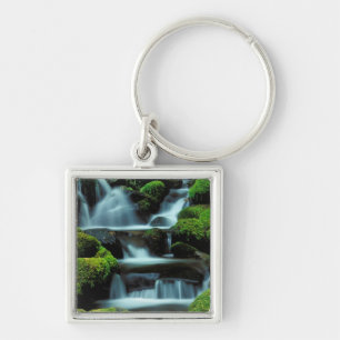 Llavero Norteamérica; EE. UU.; Washington, cascada Sol Duc