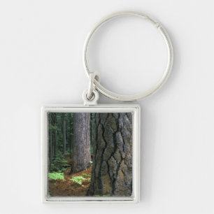 Llavero Norteamérica, Estados Unidos, California, Yosemite