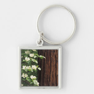 Llavero Norteamérica, Estados Unidos, California, Yosemite