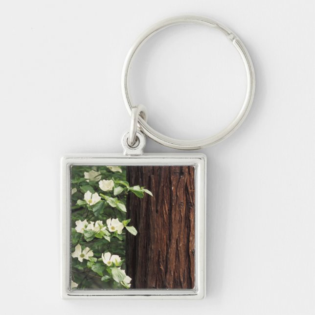 Llavero Norteamérica, Estados Unidos, California, Yosemite (Frente)