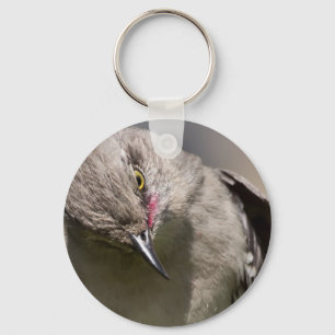 Llavero Northern Mockingbird toma ropa de vaca y regalos