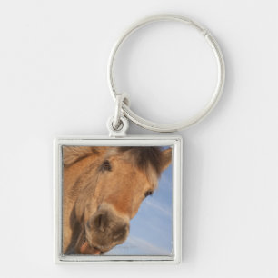 Llavero Northumberland, Inglaterra 2