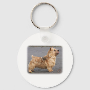 Llavero Norwich Terrier