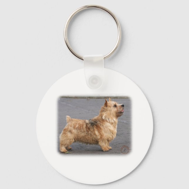 Llavero Norwich Terrier (Anverso)