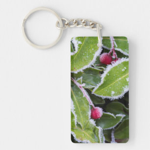 Llavero Nosotros, Wa, Isla Bainbridge. Escarcha matutina