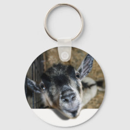 Llavero Nosy Goat mirando hacia afuera