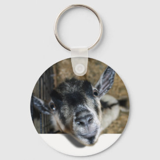 Llavero Nosy Goat mirando hacia afuera