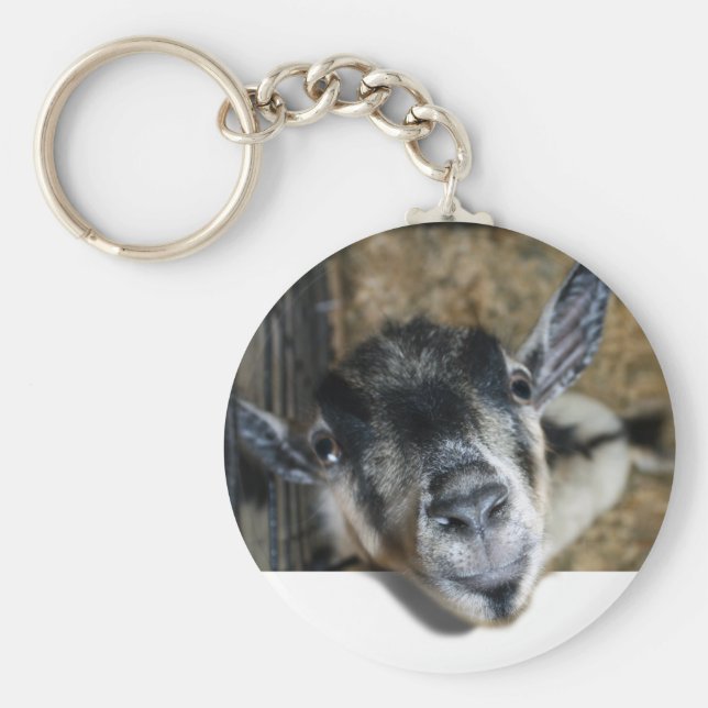 Llavero Nosy Goat mirando hacia afuera (Frente)