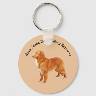 Llavero Nova Scotia Duck Tolling Retriever Dog Rama