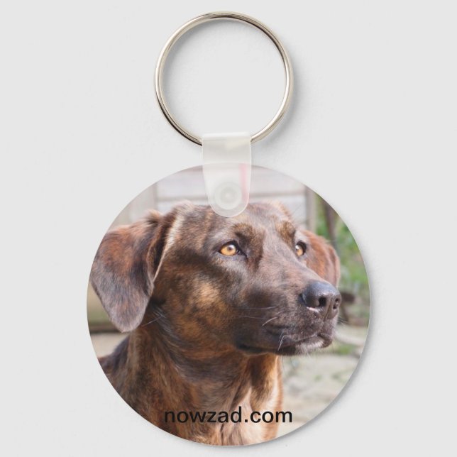 Llavero Nowzad Rescue Dog Brin Keyring (Anverso)