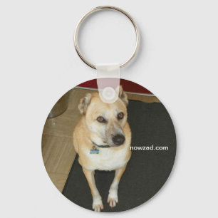 Llavero Nowzad Rescue Dog Keyring