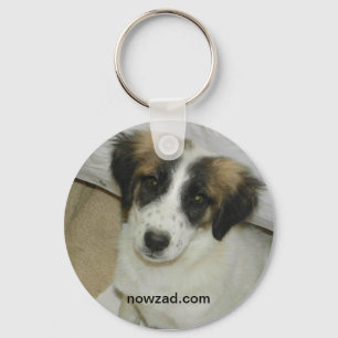 Llavero Nowzad Rescue Spike Keyring