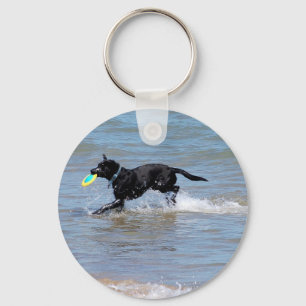 Llavero Nuestro Labrador negro que recupera el disco