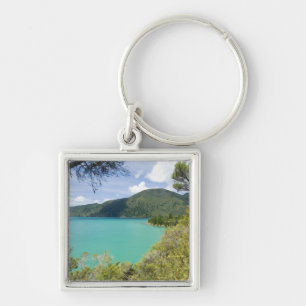 Llavero Nueva Zelanda, Isla Sur, Marlborough Sounds.