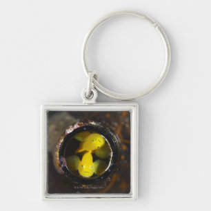 Llavero Numazu, prefectura de Shizuoka, Japón