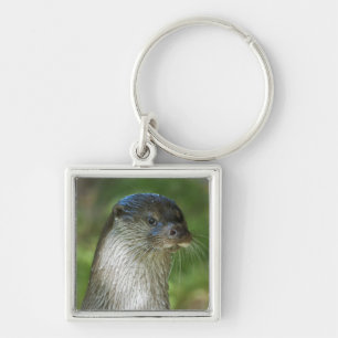 Llavero Nutria