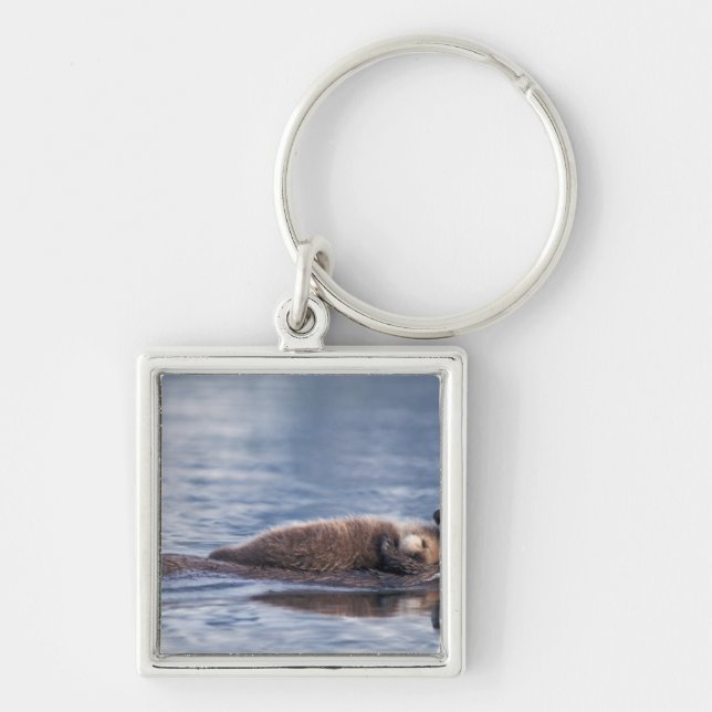 Llavero nutria marina, Enhydra lutris lutris (Frente)