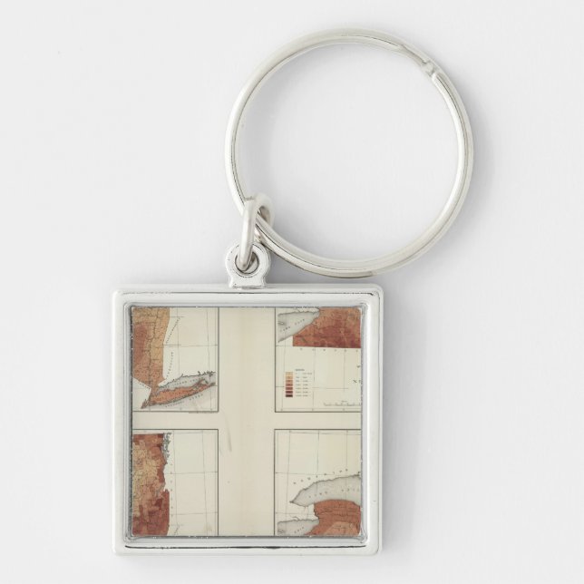 Llavero NY lluvias, población, elevación, temperatura (Frente)