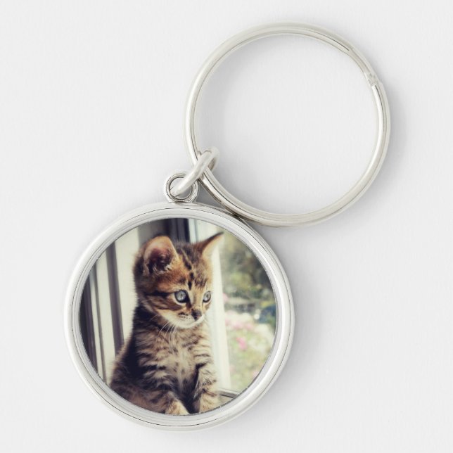 Llavero Observación del gatito del Tabby (Frente)