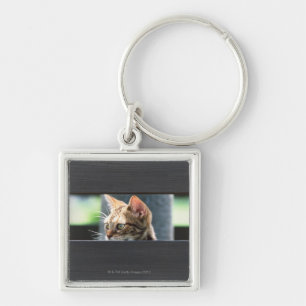 Llavero Ocicat 4