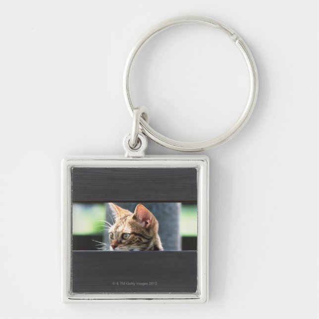 Llavero Ocicat 4 (Frente)