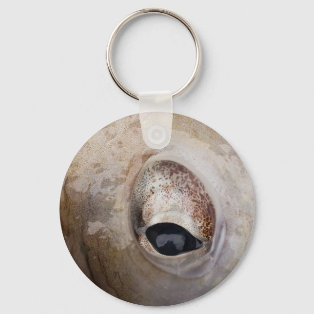 Llavero Octopus Eye (Anverso)
