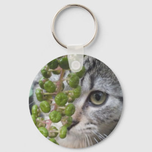 Llavero Ocultando la cadena de teclas de gatito