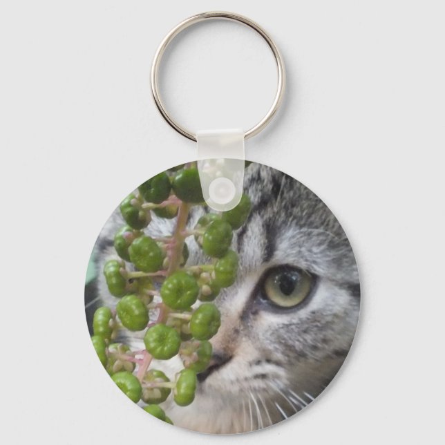 Llavero Ocultando la cadena de teclas de gatito (Anverso)