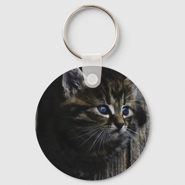 Llavero Ojos azules de gato (Anverso)