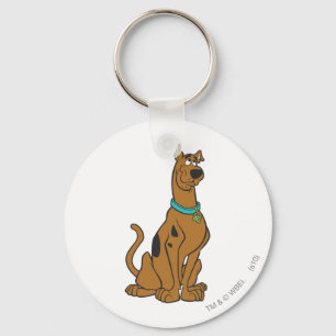Llavero Ojos de cachorro Scooby-Doo
