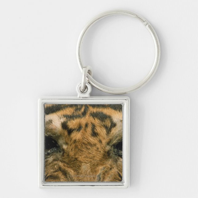 Llavero Ojos del tigre (Frente)