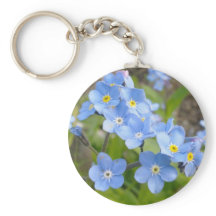 Olvidarme no de la clave