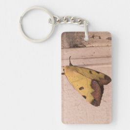 Llavero Ophiusa tirhaca, el drab verde