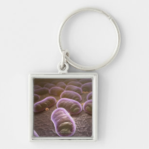 Llavero Opinión microscópica bacterias