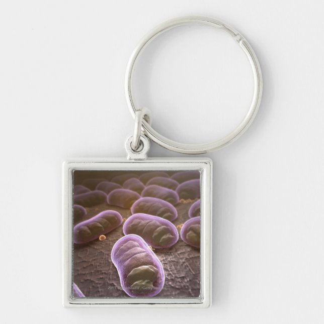 Llavero Opinión microscópica bacterias (Frente)