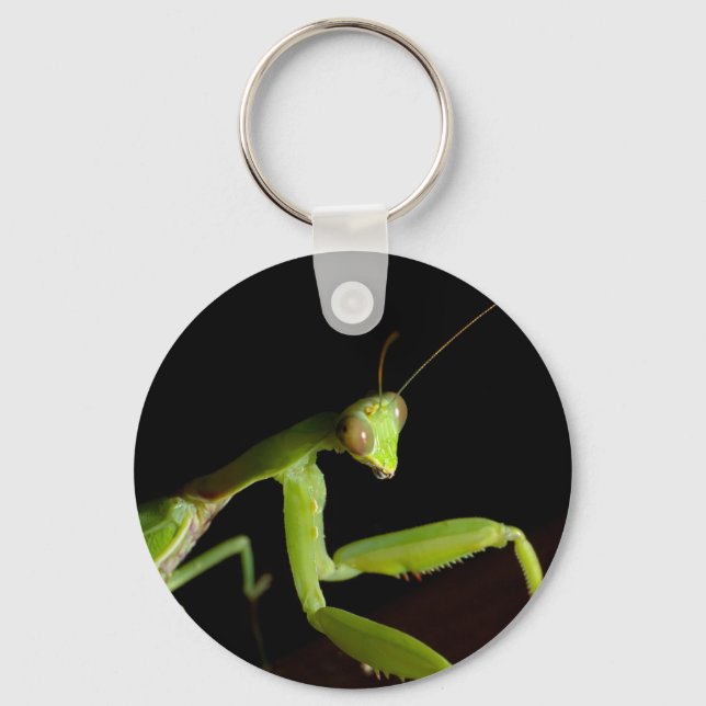 Llavero Orando mantid (Anverso)